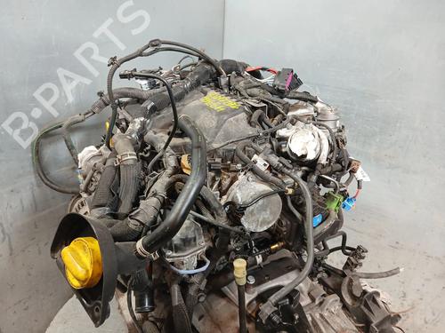 Engine FIAT TALENTO Bus (296_) 1.6 D | BP33710367M1  - Image 5