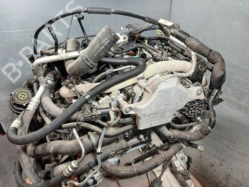 Engine JAGUAR XF I (X250) 2.2 D | BP26915526M1  - Image 9