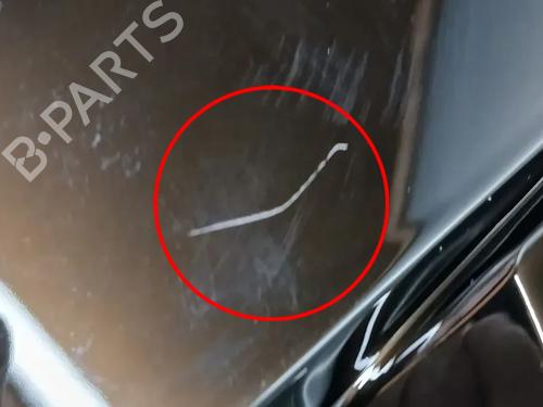 Hub cap RENAULT SCENIC E-TECH PHASE I EV87 | BP33797366C160 - Image 9