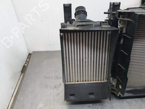 Radiator set DACIA LODGY (JS_) 1.3 TCe 130 (JSNE) | BP33944186M120  - Image 6