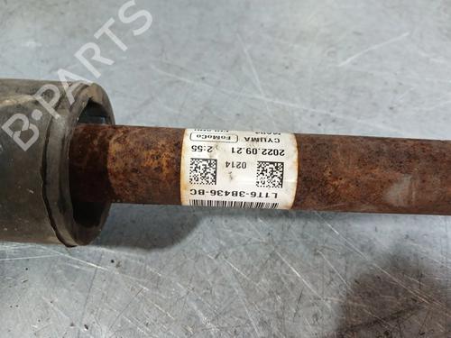 Right front driveshaft FORD PUMA (J2K, CF7) 1.0 Flexifuel | BP29240147M39  - Image 5