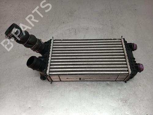 Intercooler Intercooler PEUGEOT 2008 II (UD_, US_, UY_, UJ_, UR_, UC_) 1.2 PureTech 130 (USHNS, URHNS) (130 hp) 34215524 34215524