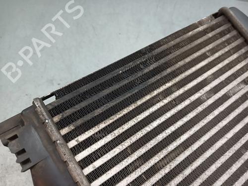 Intercooler DACIA SANDERO II 1.5 dCi | BP32156197M30  - Image 5