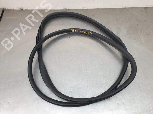 guarnizione-porta-renault-scenic-e-tech-phase-i-2023-34604979 main image