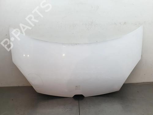 hood-renault-kangoo-express-fw01_-2008-32403486 main image