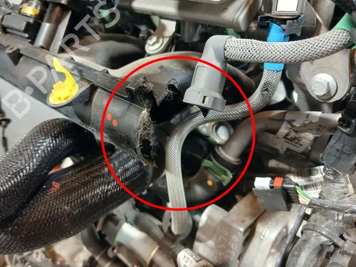 Engine RENAULT CLIO V (B7_) 1.0 TCe 100 (B7MT) | BP29126707M1  - Image 12
