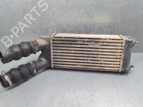 Used Intercooler Intercooler PEUGEOT PARTNER Box Body/MPV 1.6 HDi (75 hp) 36541335 36541335