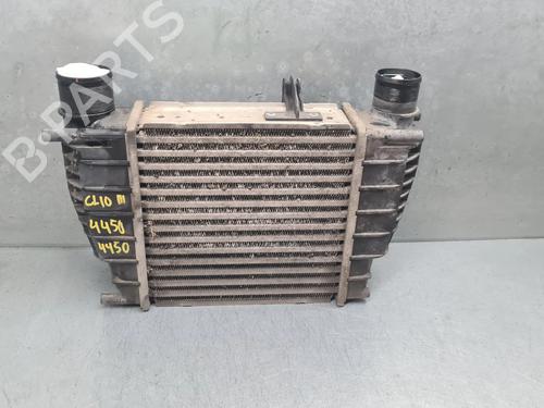 Intercooler Intercooler RENAULT CLIO III (BR0/1, CR0/1) 1.2 16V (BR0P, CR0P) (101 hp) 36541222 36541222