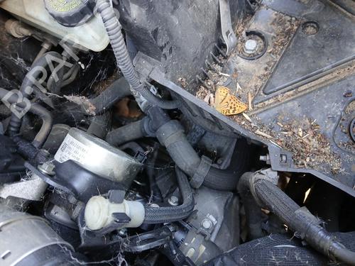 gearkasse-renault-kangoo-express-fw01_-2008-36914311 main image