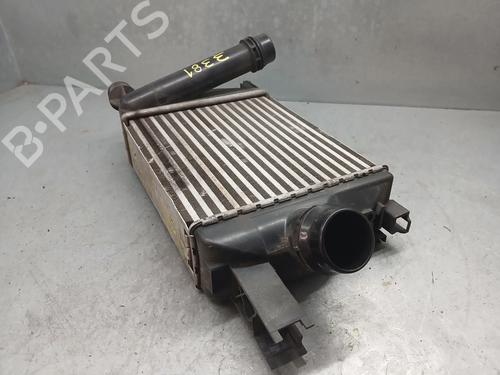 Intercooler DACIA LODGY (JS_) 1.2 TCe (JSAY, JSM0) | BP24839669M30 - Image 4