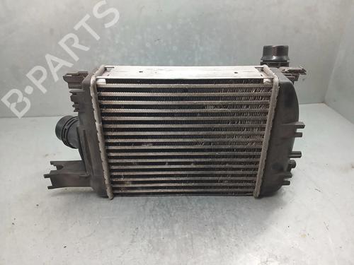 Intercooler DACIA LODGY (JS_) 1.2 TCe (JSAY, JSM0) | BP24839669M30 - Image 5