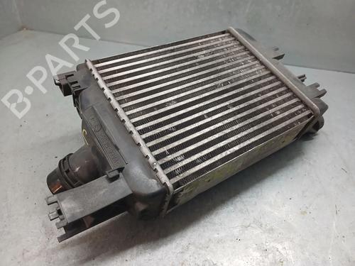 Intercooler DACIA LODGY (JS_) 1.2 TCe (JSAY, JSM0) | BP24839669M30 - Image 6