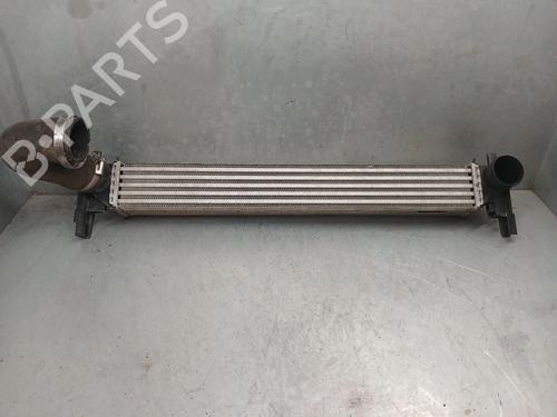 Intercooler Intercooler SKODA RAPID Spaceback (NH1) 1.6 TDI (90 hp) 24834108 24834108