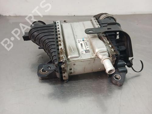 Intercooler RENAULT KADJAR (HA_, HL_) 1.5 BLUE dCi 115 (HLA6) | BP37799095M30 - Image 5