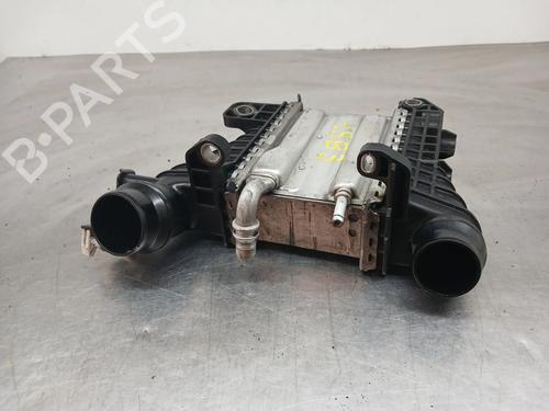 Intercooler RENAULT KANGOO III Box Body/MPV 1.5 Blue dCi 95 (FJAB) | BP38200700M30  - Image 6