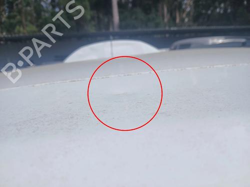 Tailgate DACIA SANDERO II 1.0 LPG (B8ML) | BP38472220C6 - Image 4