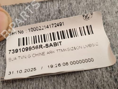 Interior roof RENAULT CLIO V (B7_) 1.0 TCe 90 (B7MT) | BP38721003I12 - Image 6