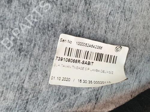 Interior roof RENAULT CLIO V (B7_) 1.5 Blue dCi 100 (B7AD) | BP38721005I12 - Image 6