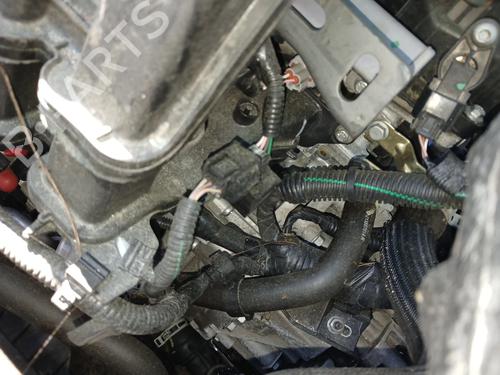 Engine RENAULT CLIO V (B7_) 1.0 SCe 65 (B7MR) | BP39719330M1 - Image 2