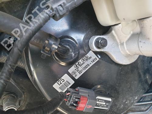 Used Servo brake KIA SPORTAGE III (SL) 1.7 CRDi (116 hp) 24020921