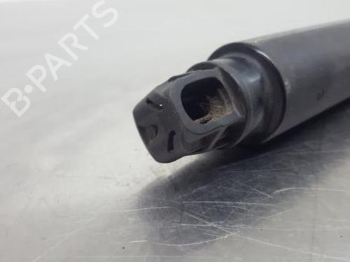 Tailgate lift support BMW 3 Touring (F31) 320 d | BP14438790C138 