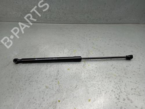 Tailgate lift support RENAULT CAPTUR II (HF_) TCe 155 (HFMN) 904507649R