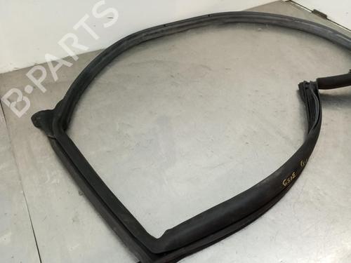 Rubber door seal TESLA MODEL 3 (5YJ3)  | BP23883161C142 