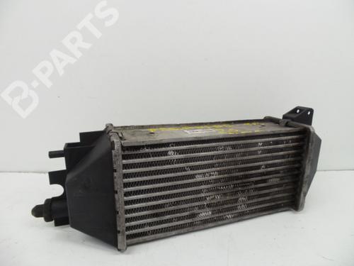 Intercooler LAND ROVER FREELANDER I (L314) | BP229669M30
