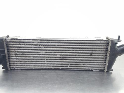 Intercooler RENAULT TRAFIC II Van (FL) 2.0 dCi 90 (FL0H) (90 hp) 8200411160C / 93854162