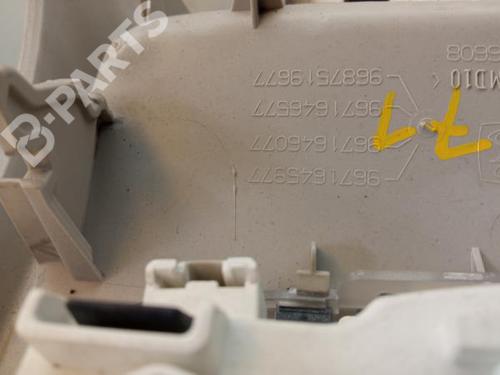 Interior roof light CITROËN C4 II (NC_) 1.6 HDi 115 | BP5952933I8