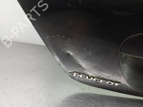 Tailgate PEUGEOT 207 (WA_, WC_) 1.4 16V | BP10982477C6 