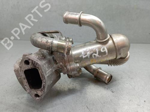 Used Egr FIAT GRANDE PUNTO (199_) 1.3 D Multijet (199.AXD11, 199.AXD1A, 199.AXD1B,... (90 hp) 3024859