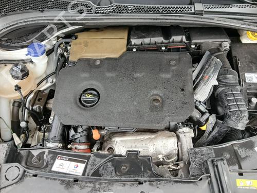 Right daytime light CITROËN C3 III (SX) 1.5 BlueHDi 100 (SXYHYP, SXYHTU) | BP31950309C103