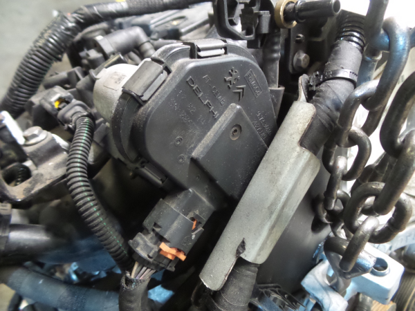 Frankberg Lot De 2 Amortisseurs Essieu Avant Berlingo B9 - Remplace 9684479080 - Compatible Citroën Peugeot