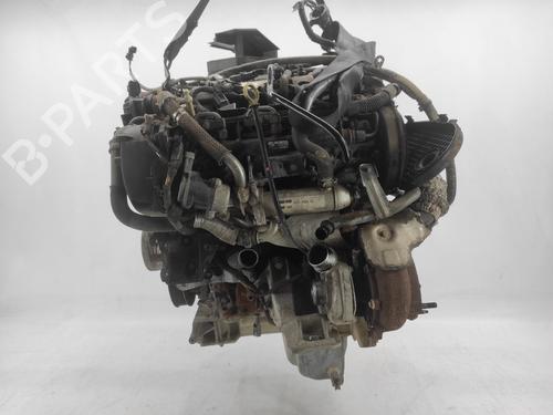 Engine (For Parts) LAND ROVER RANGE ROVER SPORT I (L320) 2.7 D 4x4 | BP27735153M64 