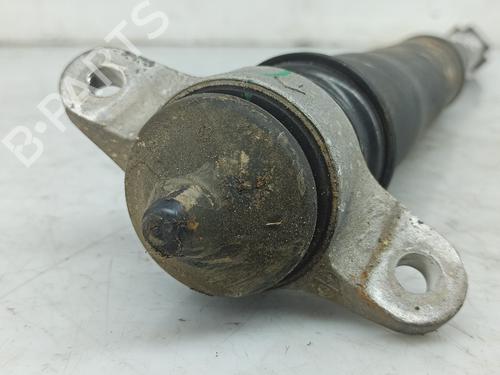 Høyre bak støtdemper HYUNDAI i20 III (BC3, BI3) 1.0 T-GDI | BP27736175M19 
