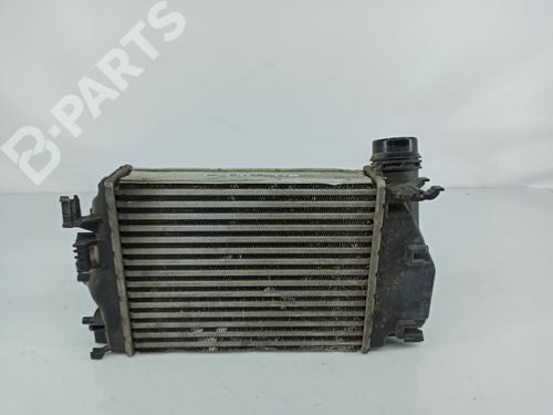 Intercooler RENAULT KADJAR (HA_, HL_) 1.5 dCi 110 (HLA3) | BP6678497M30