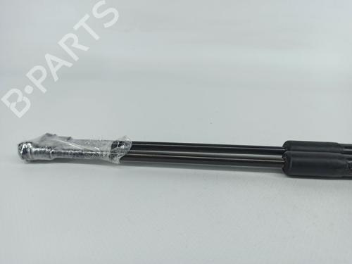 Tailgate lift support BMW 1 (F20) 118 d | BP14414987C138