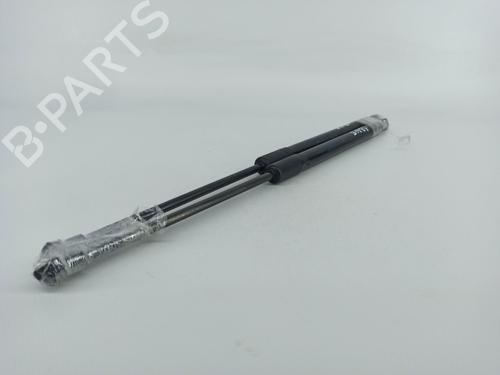 Tailgate lift support BMW 1 (F20) 118 d | BP14414987C138