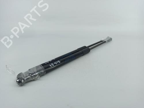 Tailgate lift support BMW 1 (F20) 118 d | BP14414987C138