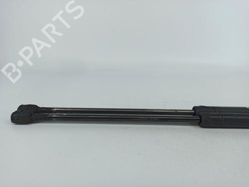 Tailgate lift support MERCEDES-BENZ VITO / MIXTO Van (W639) 115 CDI (639.601, 639.603, 639.605) | BP14415202C138 