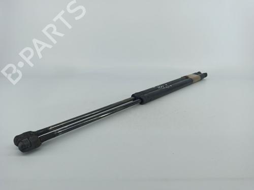 Tailgate lift support MERCEDES-BENZ VITO / MIXTO Van (W639) 115 CDI (639.601, 639.603, 639.605) | BP14415202C138 