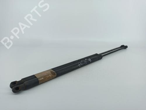 Tailgate lift support MERCEDES-BENZ VITO / MIXTO Van (W639) 115 CDI (639.601, 639.603, 639.605) | BP14415202C138 