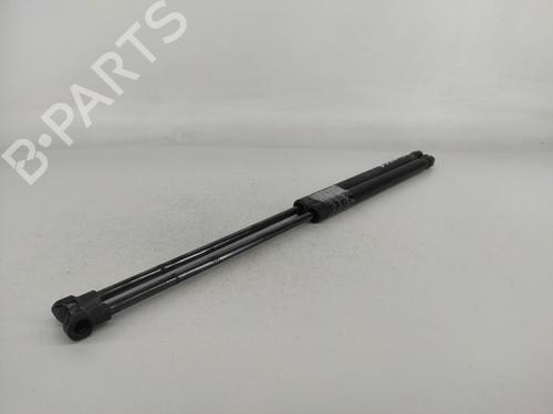 Tailgate lift support SEAT IBIZA III (6L1) 1.9 SDI | BP14417346C138 
