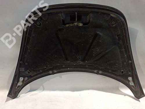 BP8959116C1 | Motorkap VW NEW BEETLE Convertible (1Y7) 1.8 T BP8959116C1