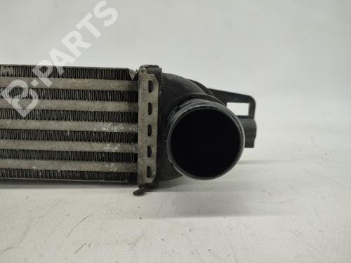 Intercooler FIAT FIORINO Box Body/MPV (225_) 1.3 D Multijet (225BXD1A, 225BXB1A, 225BXB11) | BP9223057M30 