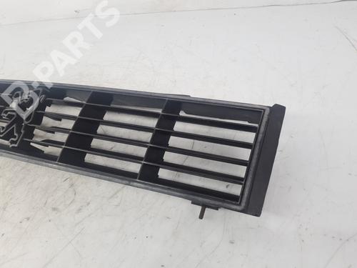 Grille PEUGEOT 305 I (581A) | BP6217616C40