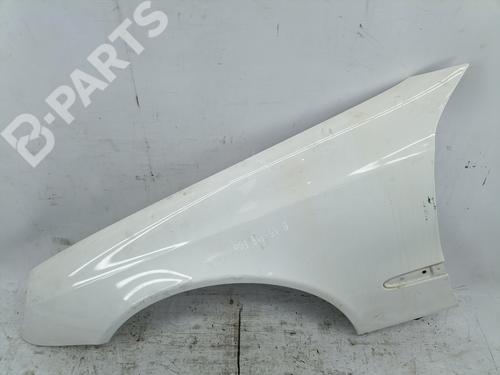 Left front fenders MERCEDES-BENZ E-CLASS (W211) E 220 CDI (211.006) | BP9542007C41 