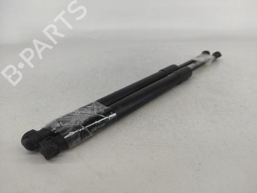 Tailgate lift support BMW 3 Coupe (E92) 320 d | BP14422279C138 
