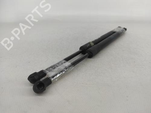 Tailgate lift support BMW 3 Coupe (E92) 320 d | BP14422279C138 